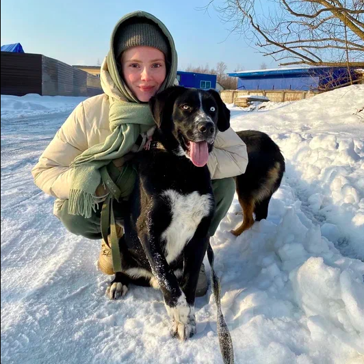 Собаки в Москве: Кускус Мальчик, Бесплатно - фото 4