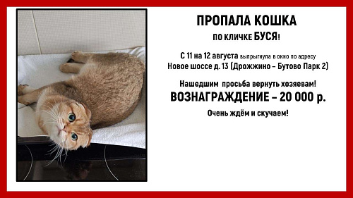 Объявление: Потерялась кошка по кличке Буся, 20 000 руб., Щербинка