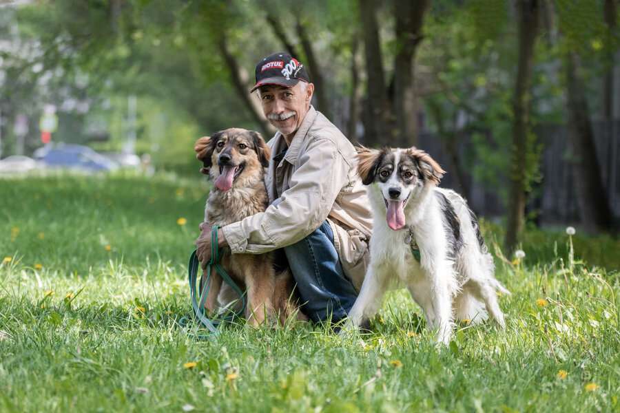 Собаки в Москве: Чудесная собака Мила ищет семью. Девочка, Бесплатно - фото 9