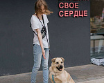 Собаки в Москве: Он покоряет нежностью... Мальчик, 1 руб. - фото 2