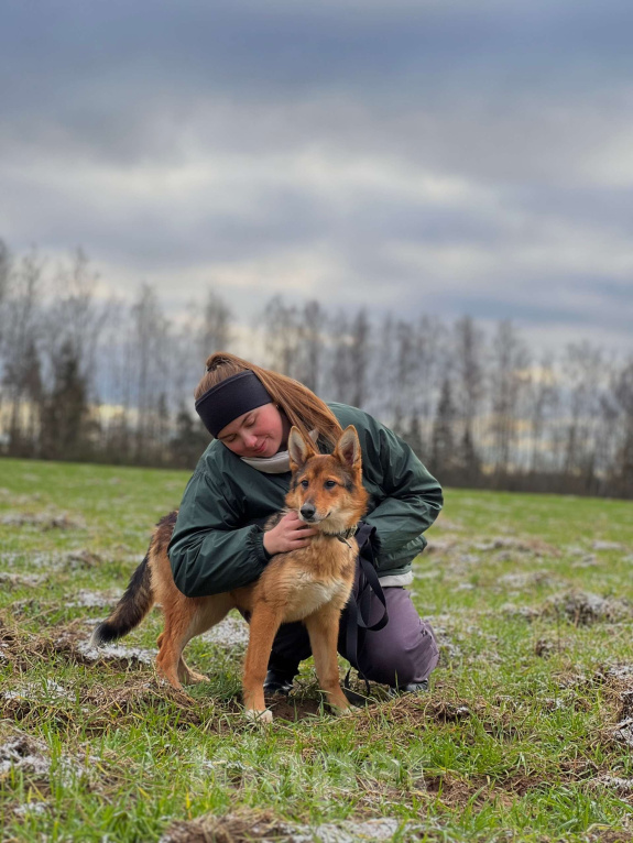 Собаки в Клине: Миндаль — милая карамельная очаровашка, которая ждёт своего Человека Девочка, Бесплатно - фото 2