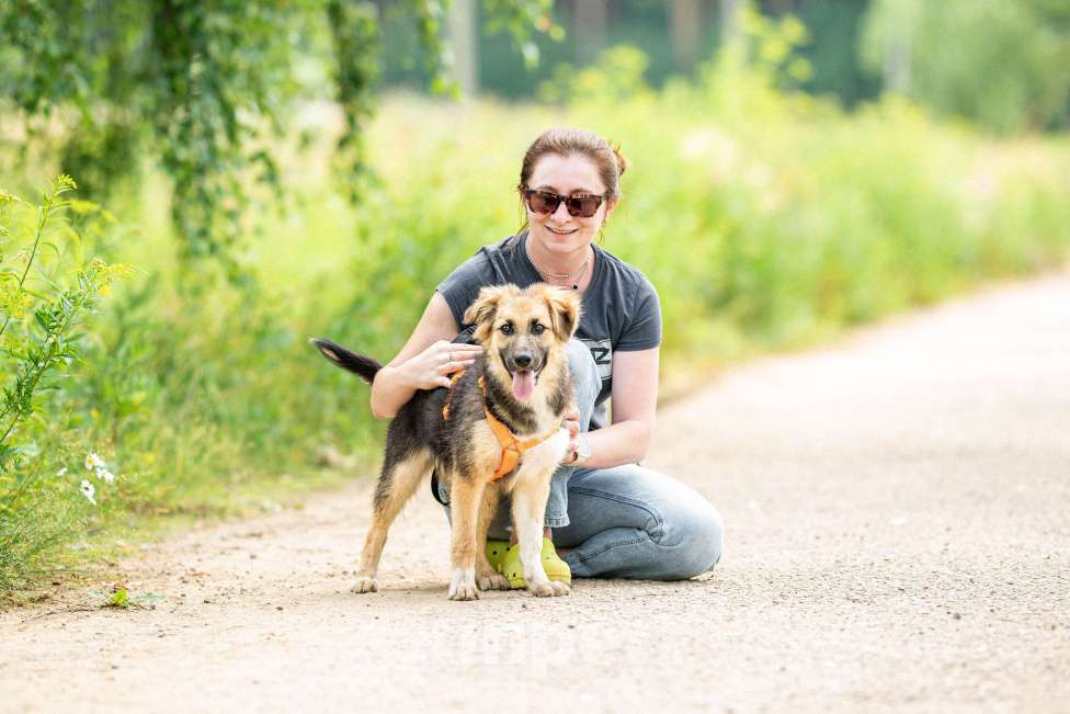 Собаки в Кубинке: Крошка Асти из приюта ищет дом Девочка, Бесплатно - фото 7