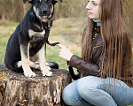 Собаки в Москве: Щенок настоящий друг и компаньон для семьи Девочка, Бесплатно - фото 6