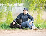 Собаки в Москве: Собака в дар Девочка, Бесплатно - фото 4