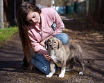 Собаки в Москве: Щеночек в добрые руки Девочка, Бесплатно - фото 10