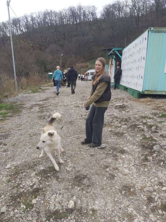 Собаки в других городах Краснодарского края: Беляш из приюта Поводог Сочи с возможностью отправки к Вам Мальчик, Бесплатно - фото 5