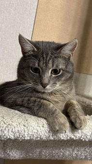 Малыш ищет постоянный дом