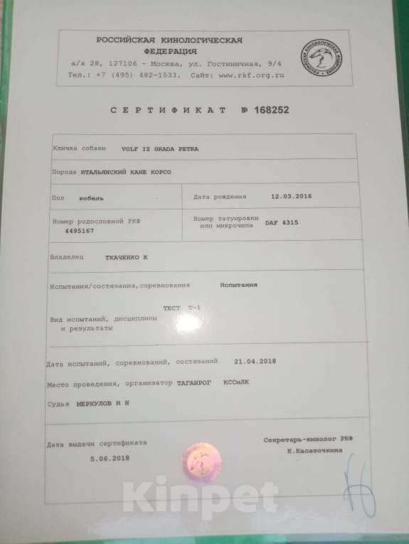 Собаки в других городах Ростовской области: Ищет семью Девочка, 25 000 руб. - фото 1