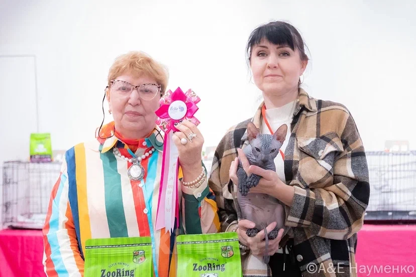 Кошки в Москве: Предлагаю котика Донского сфинкса  Мальчик, 45 000 руб. - фото 2