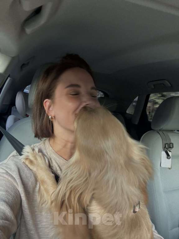 Собаки в Котельнике: Передам любящим хозяевам🫶свою принцессу Девочка, Бесплатно - фото 4