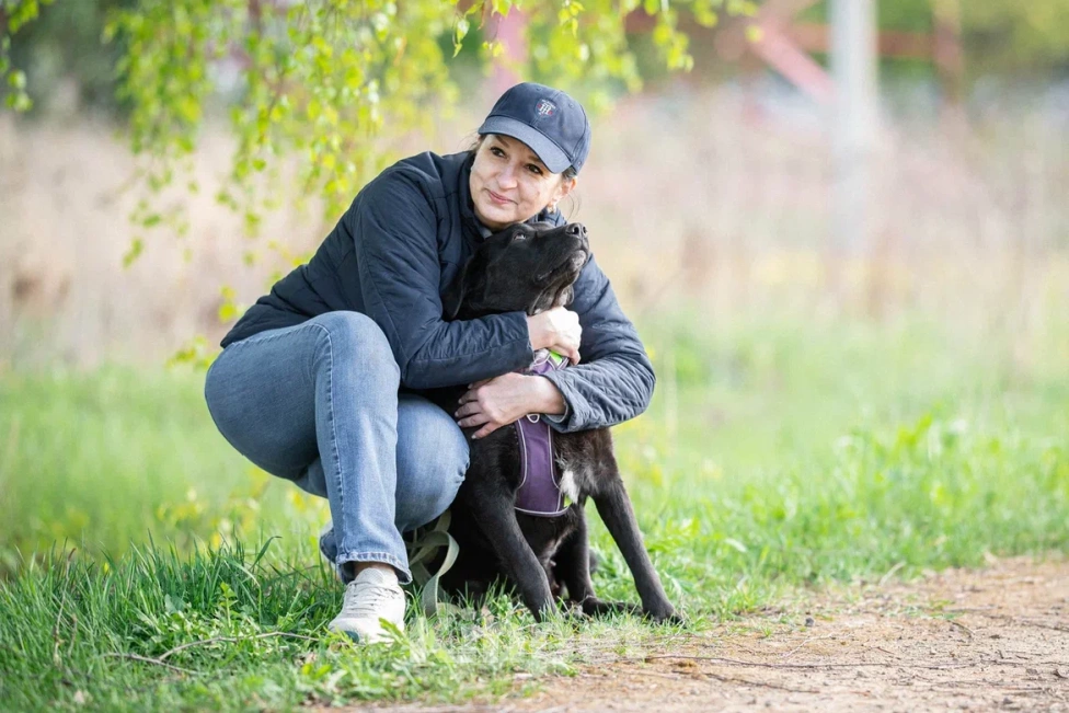 Собаки в Москве: Собака в дар Девочка, Бесплатно - фото 10