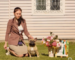 Собаки в Твери: Французский бульдог щенки  Девочка, 38 000 руб. - фото 8