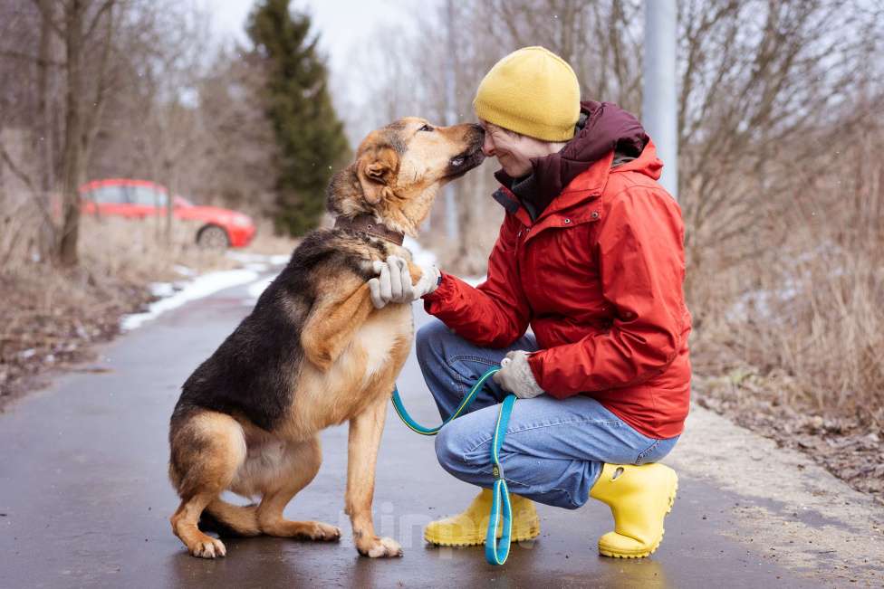 Собаки в Москве: Пёсик без одной лапки в добрые руки Мальчик, Бесплатно - фото 3