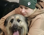 Собаки в Москве: Тимофеич ждет семью  Мальчик, Бесплатно - фото 3