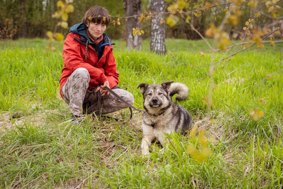 Собаки в Москве: Соня - собака-компаньон Девочка, Бесплатно - фото 5