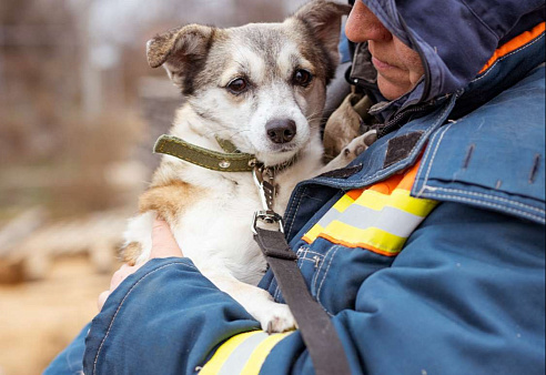 Малышка из приюта в добрые руки