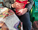 Собаки в других городах Московской области: Подрощенные чишечки Мальчик, 45 000 руб. - фото 9