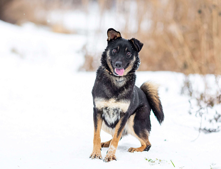 Энергичная Джулия ищет дом