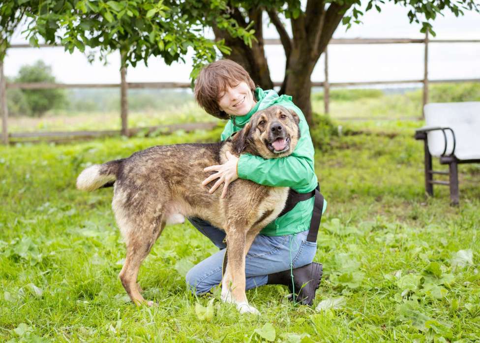 Собаки в Москве: Спокойный, миролюбивый мальчик ищет семью. Собака-компаньон Мальчик, Бесплатно - фото 2