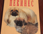 Собаки в Новосибирске: Книга о пекинесах, Бесплатно - фото 1