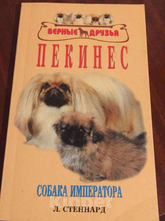 Собаки в Новосибирске: Книга о пекинесах, Бесплатно - фото 1