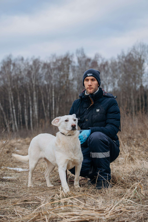 Собаки в Москве: Белоснежная собака в добрые руки! Девочка, Бесплатно - фото 5
