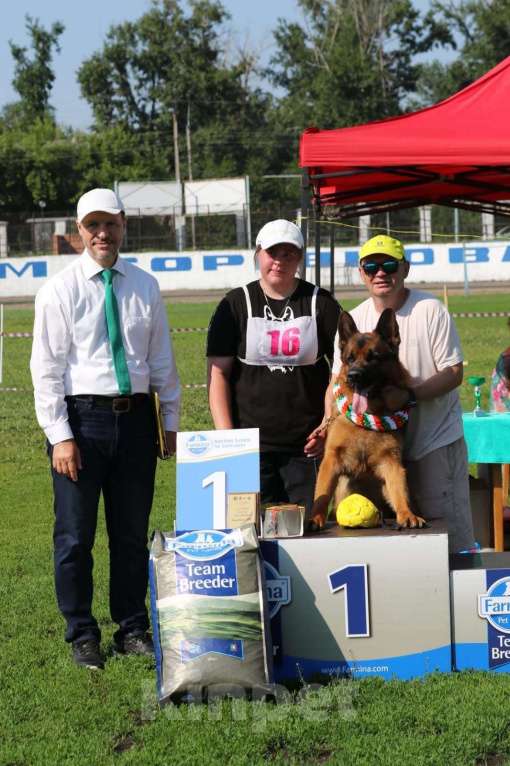Собаки в Иркутске: Щенки немецкой овчарки в иркутске Девочка, 55 000 руб. - фото 3