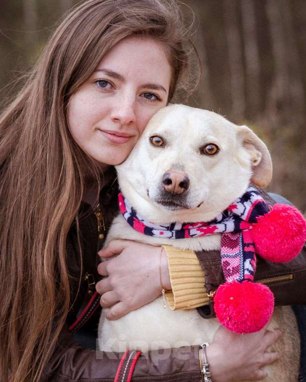 Собаки в Москве: Собака из приюта в добрые руки! Девочка, Бесплатно - фото 2