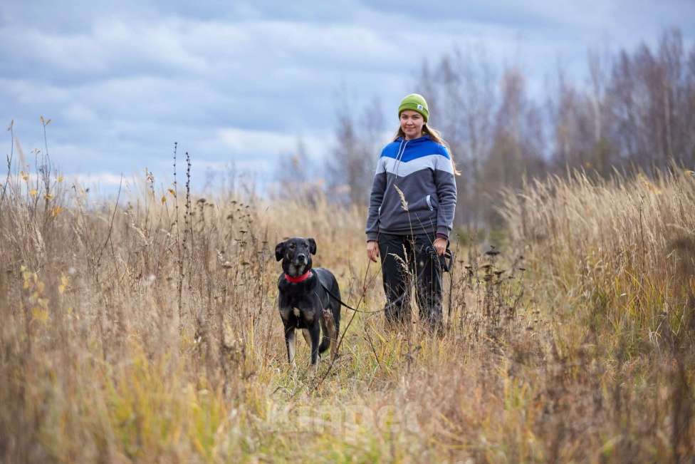 Собаки в Москве: Рута Девочка, Бесплатно - фото 7