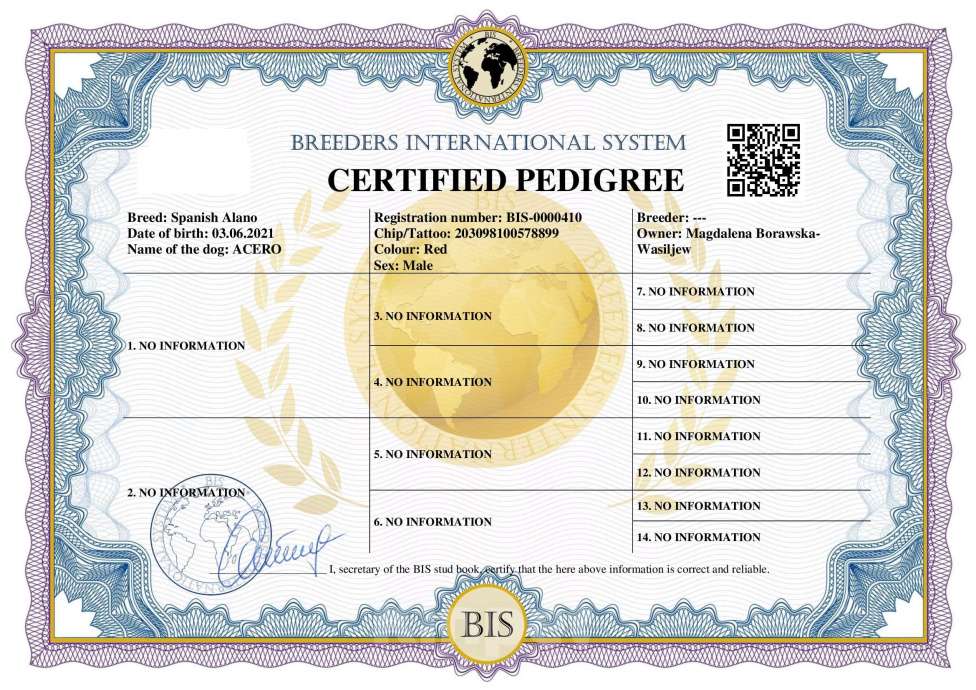 Собаки в Москве: Породистые и красивые щенки Алано Мальчик, Бесплатно - фото 4