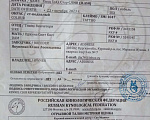 Собаки в Курске: Щенки йорка  Девочка, 22 000 руб. - фото 5