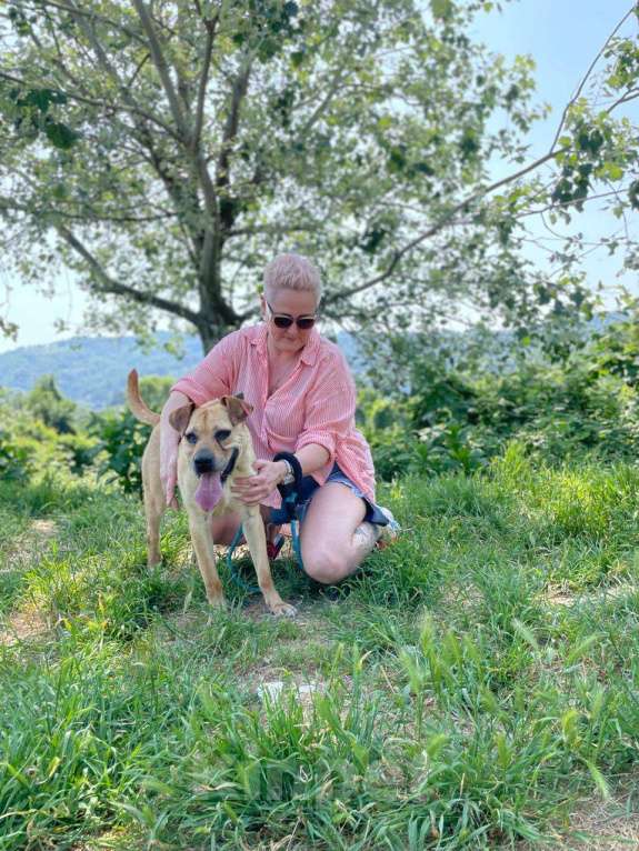 Собаки в других городах Краснодарского края: Метис лабрадора и стаффа в дар с доставкой Мальчик, Бесплатно - фото 2