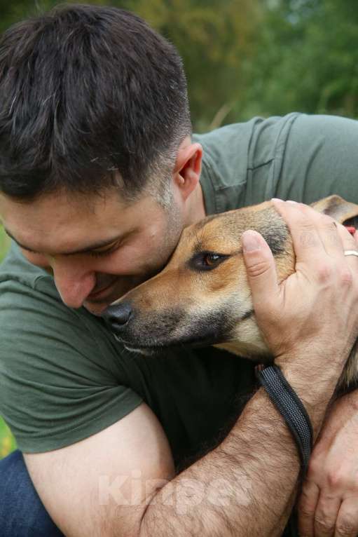 Собаки в Москве: Тиша Девочка, Бесплатно - фото 25
