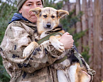 Собаки в Москве: Скромный, небольшой мальчик в добрые руки Мальчик, Бесплатно - фото 2