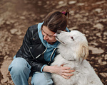 Собаки в Санкт-Петербурге: Кьяра ищет дом Девочка, Бесплатно - фото 2