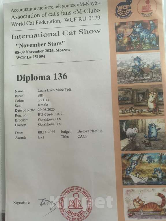 Кошки в Москве: Котенок-чемпион Девочка, 70 000 руб. - фото 6