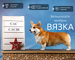 Собаки в Москве: Вельш-корги пемброк вязка Мальчик, 100 руб. - фото 1