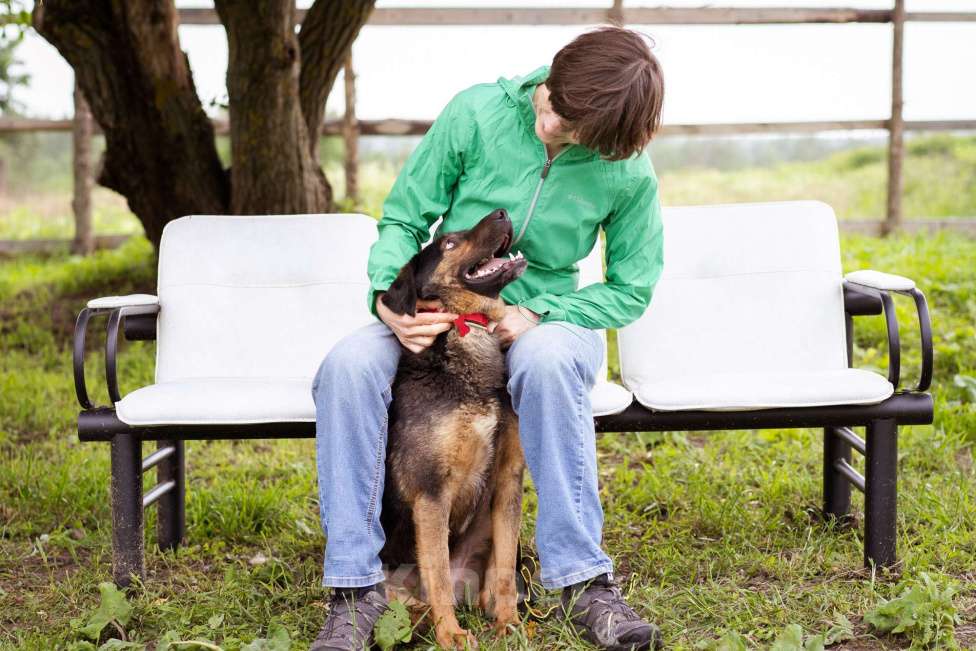 Собаки в Москве: Собака-компаньон Мальчик, Бесплатно - фото 5