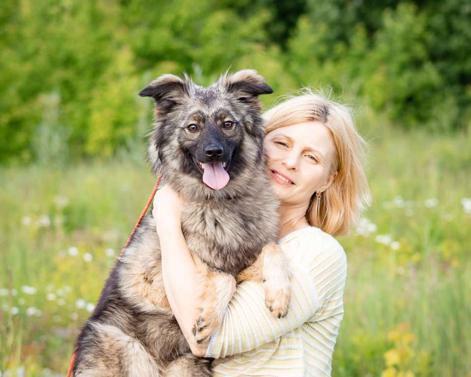Собаки в Москве: Небольшая девочка из приюта ищет дом Девочка, Бесплатно - фото 9