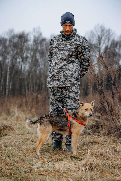 Собаки в Москве: Девчонка-веселушка, позитив и искреннее счастье Девочка, Бесплатно - фото 4