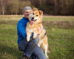 Собаки в Москве: Валли  - слепой пёсик в добрые руки Мальчик, Бесплатно - фото 5