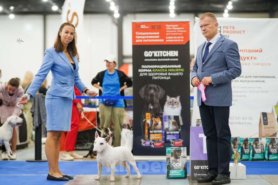 Собаки в Санкт-Петербурге: Девочка 1 год. Рожд. 19.02.2025г. Девочка, 100 000 руб. - фото 10