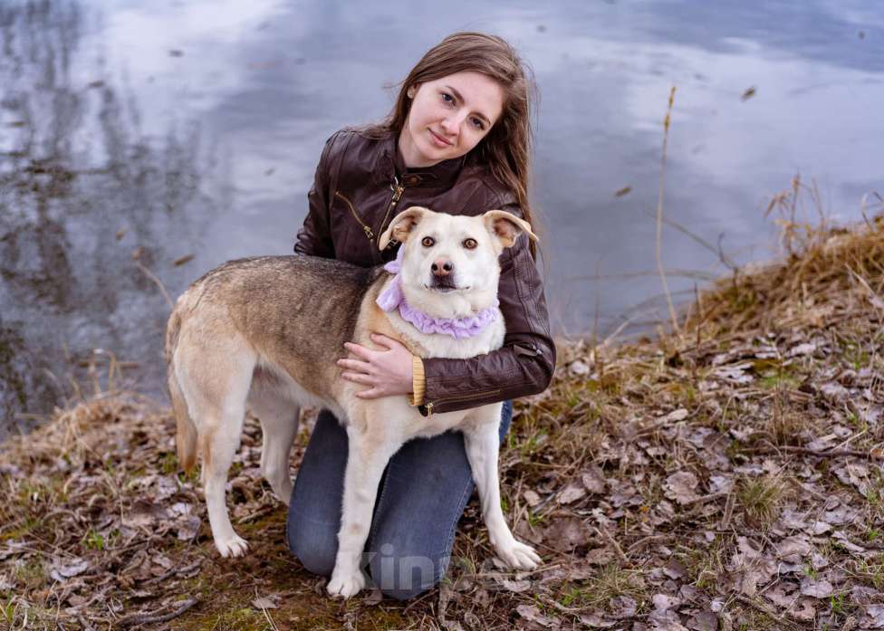 Собаки в Москве: Собака-компаньон в добрые руки! Девочка, Бесплатно - фото 4