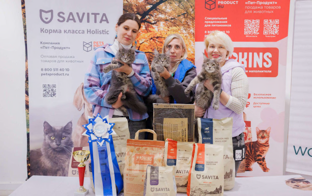 Кошки в Москве: Ласковый малыш Мейн-Кун Мальчик, 100 000 руб. - фото 6