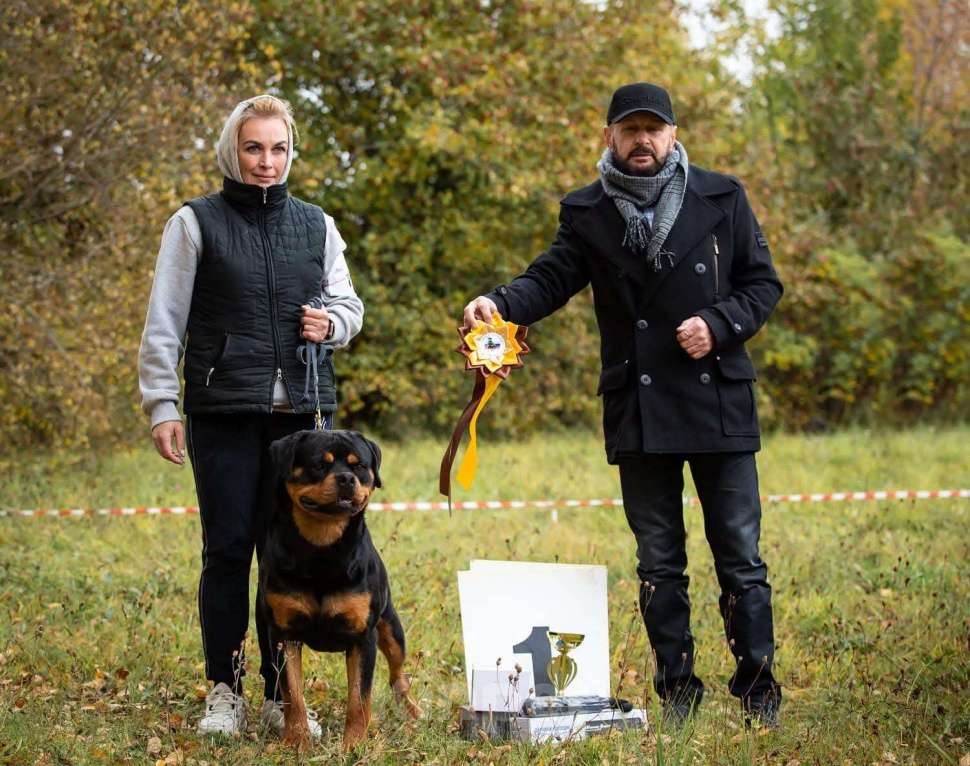 Собаки в Рязани: Щенки ротвейлерр Девочка, 50 000 руб. - фото 5