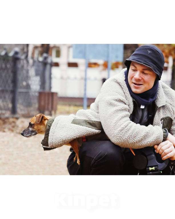 Собаки в Москве: Я Марго :) Девочка, Бесплатно - фото 4