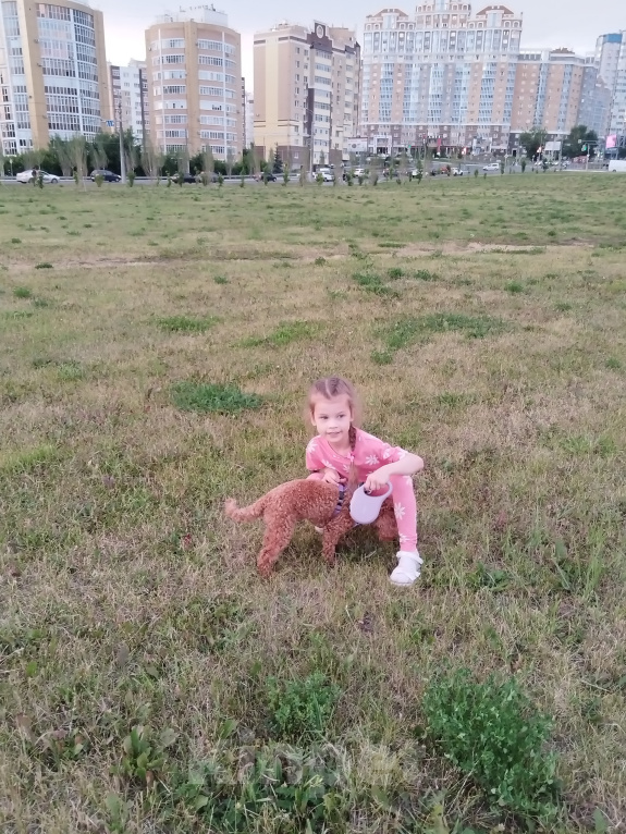 Собаки в Саранске: Эльза ищет своего кобеля! Девочка, Бесплатно - фото 2