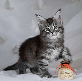 Аврора - сама нежность