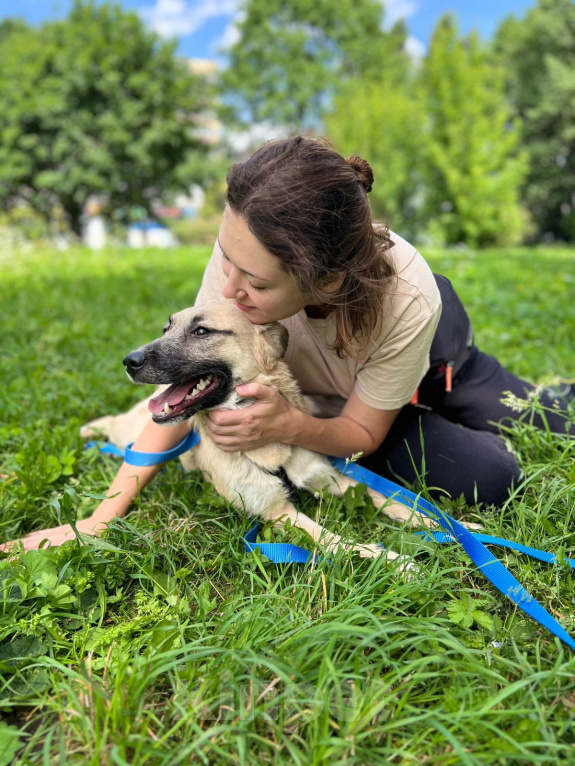 Собаки в Москве: Щенок Дейенерис ищет дом Девочка, Бесплатно - фото 4