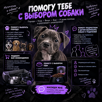 Помогу выбрать собаку,уход и др